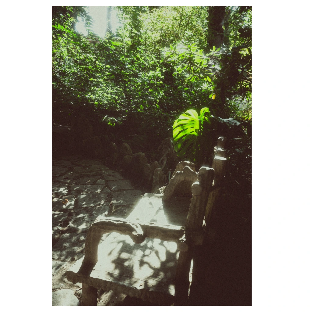 Fine Art Photography Print