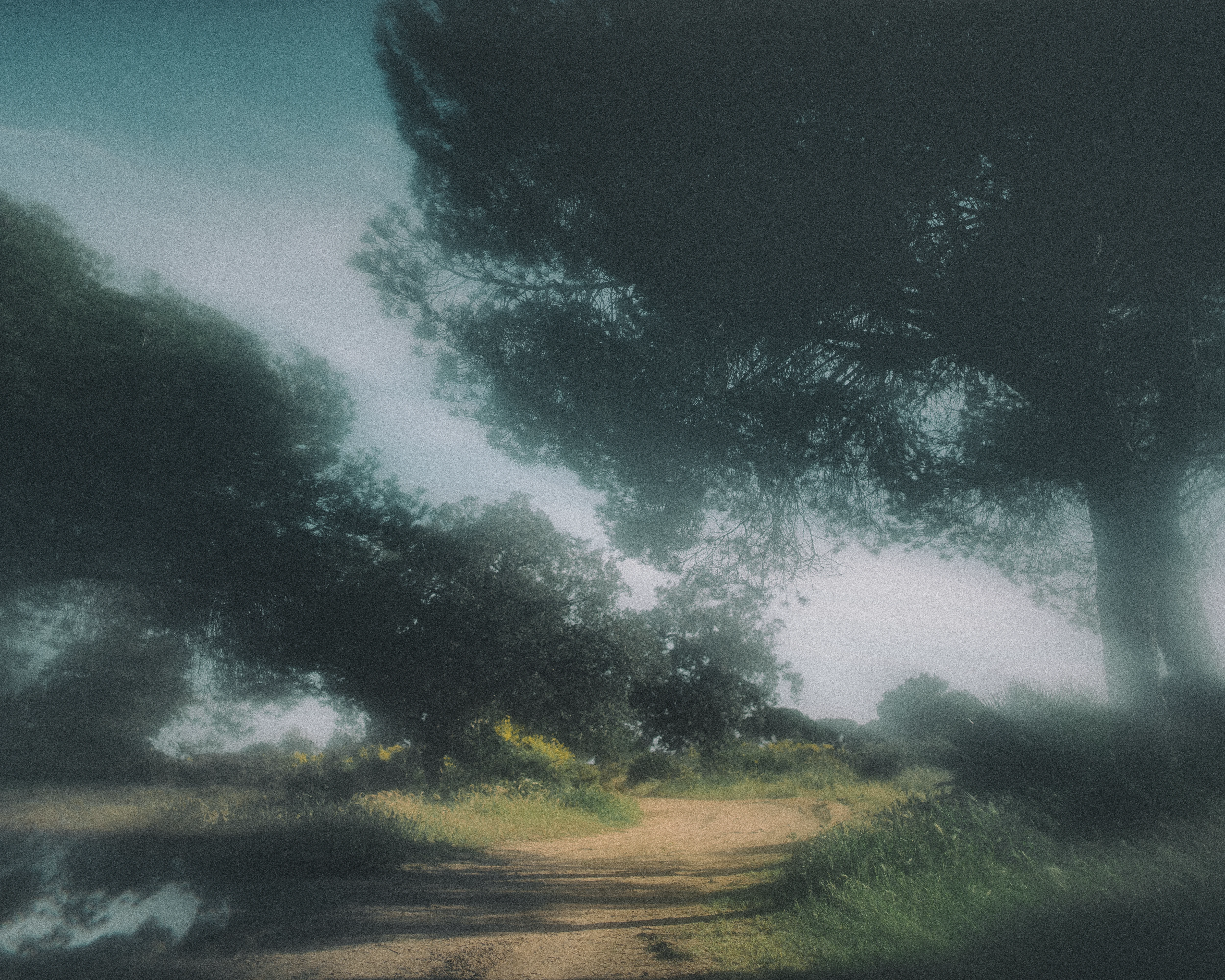 Visualização de fotografia fine art em portátil – galeria de Svetlana Babenco